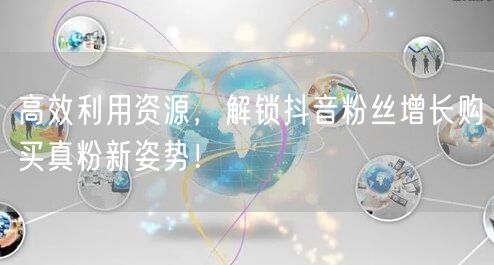 高效利用资源，解锁抖音粉丝增长购买真粉新姿势！