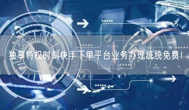 独享特权时刻快手下单平台业务办理统统免费！