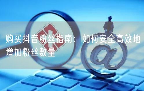 购买抖音粉丝指南：如何安全高效地增加粉丝数量