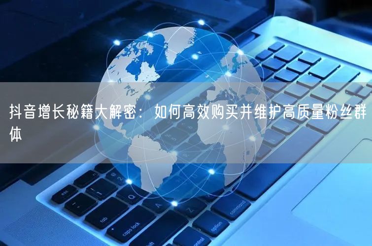 抖音增长秘籍大解密：如何高效购买并维护高质量粉丝群体