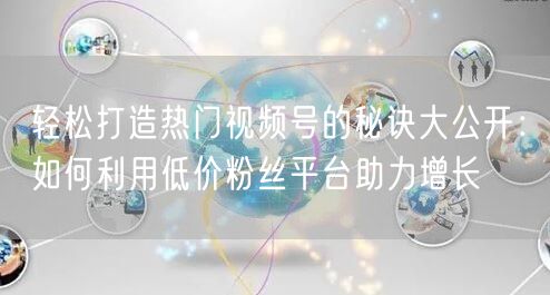 轻松打造热门视频号的秘诀大公开：如何利用低价粉丝平台助力增长