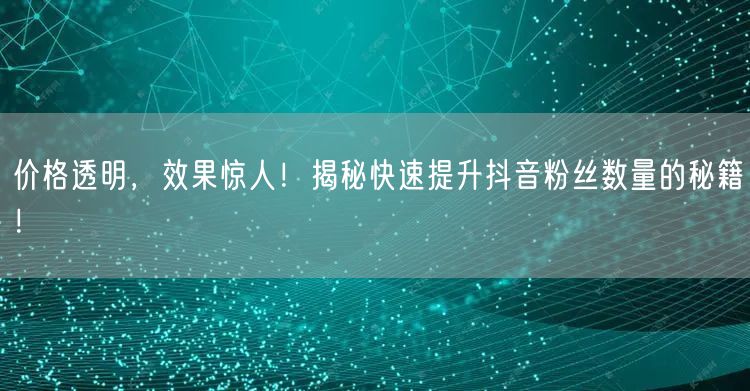 价格透明，效果惊人！揭秘快速提升抖音粉丝数量的秘籍！