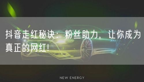 抖音走红秘诀:粉丝助力,让你成为真正的网红!