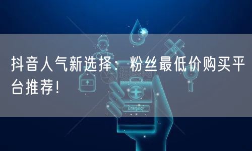 抖音人气新选择：粉丝最低价购买平台推荐！