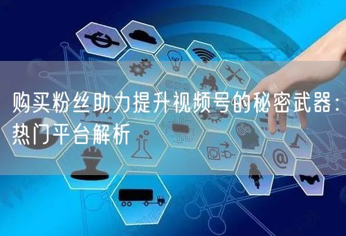 购买粉丝助力提升视频号的秘密武器：热门平台解析
