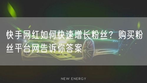 快手网红如何快速增长粉丝？购买粉丝平台网告诉你答案